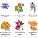 Coffret de 6 Semences - Fleurs Comestibles - 1 kit