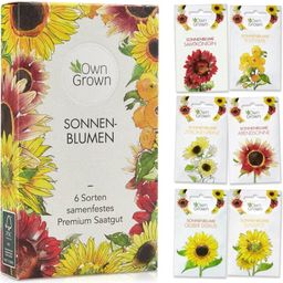 Own Grown Sonnenblumen 6er Saatgut-Set