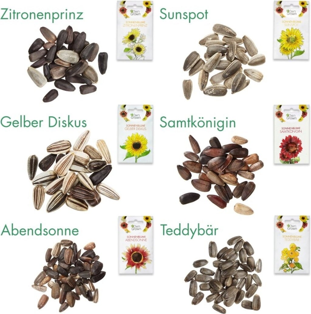 Own Grown Sonnenblumen 6er Saatgut-Set - 1 Set