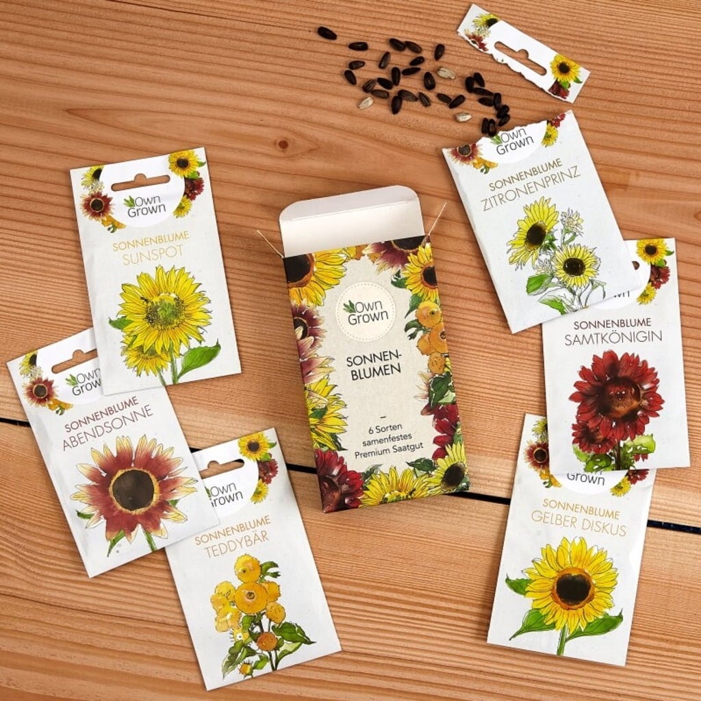 Own Grown Sonnenblumen 6er Saatgut-Set - 1 Set