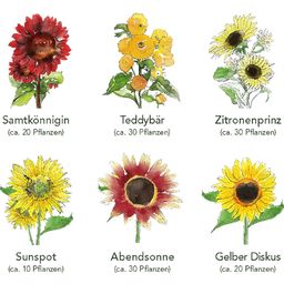 Own Grown Sonnenblumen 6er Saatgut-Set - 1 Set