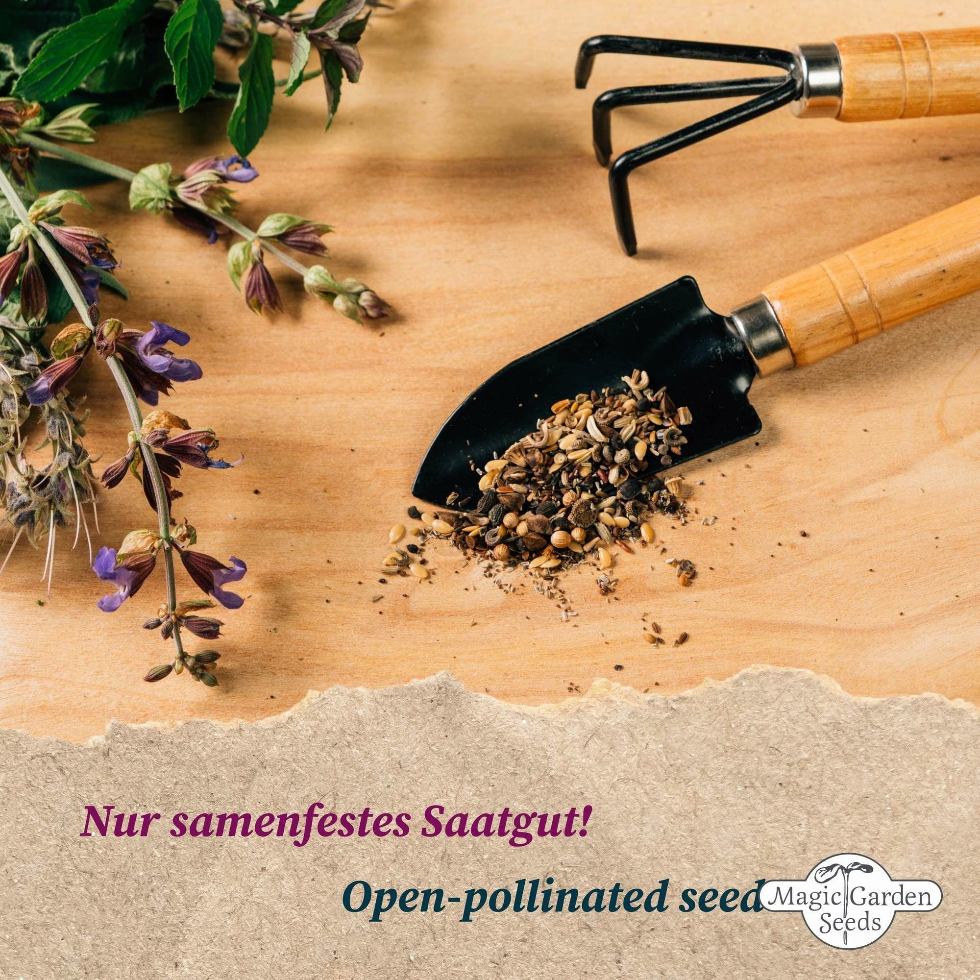Hildegard von Bingen: Monastery Garden - Seed Set - 1 Set