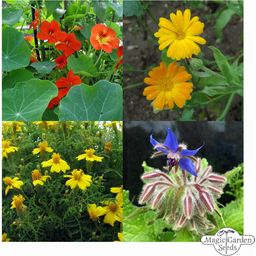 Set de semillas - Flores Comestibles Orgánicas - 1 set