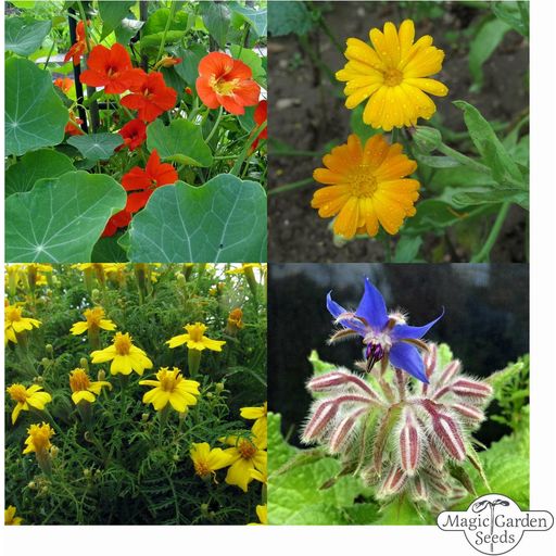 Magic Garden Seeds Bio Essbare Blüten - Samenset - 1 Set