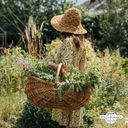 „A fűszernövények csodálatos világa” - bio magok adventi naptár - 1 db