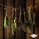 „A fűszernövények csodálatos világa” - bio magok adventi naptár - 1 db