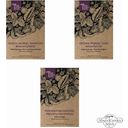 Magic Garden Seeds Variété d'Asperges - Ensemble de Graines - 1 kit