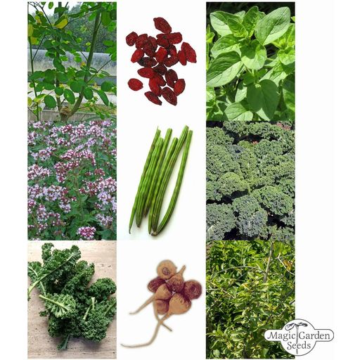 Magic Garden Seeds Super Foods - Seed Kit - 1 Set