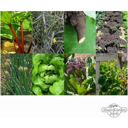 Magic Garden Seeds Permacultuur - Zaadset - 1 Set