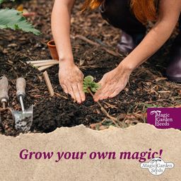 Magic Garden Seeds Permacultura - Kit de semillas - 1 set