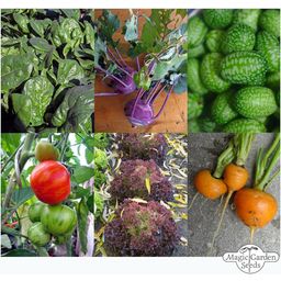 Magic Garden Seeds Kit de semillas- Verduras de Balcón  - 1 set