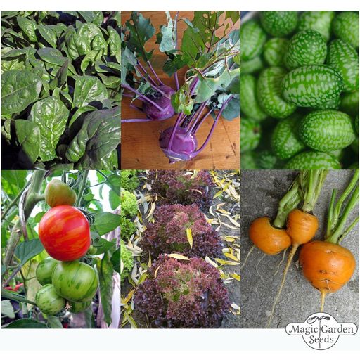 Magic Garden Seeds Vegetable Seed Set for the Balcony - 1 Set