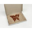 Saatgut Dillmann Tuinkers Box Biologisch “Schmetterling” - 1 stuk