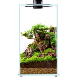 Bioloark Bio Bottle Model FD - 250