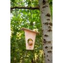 Nature Zoom - Kit de Construction pour Mangeoire Oiseaux  - 1 pcs