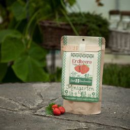 Mini Jardín - Fresa Roja del Bosque Tubby Red - 1 set