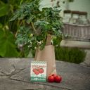 Die Stadtgärtner Mini Jardín - Tomate Rote Murmel - 1 set