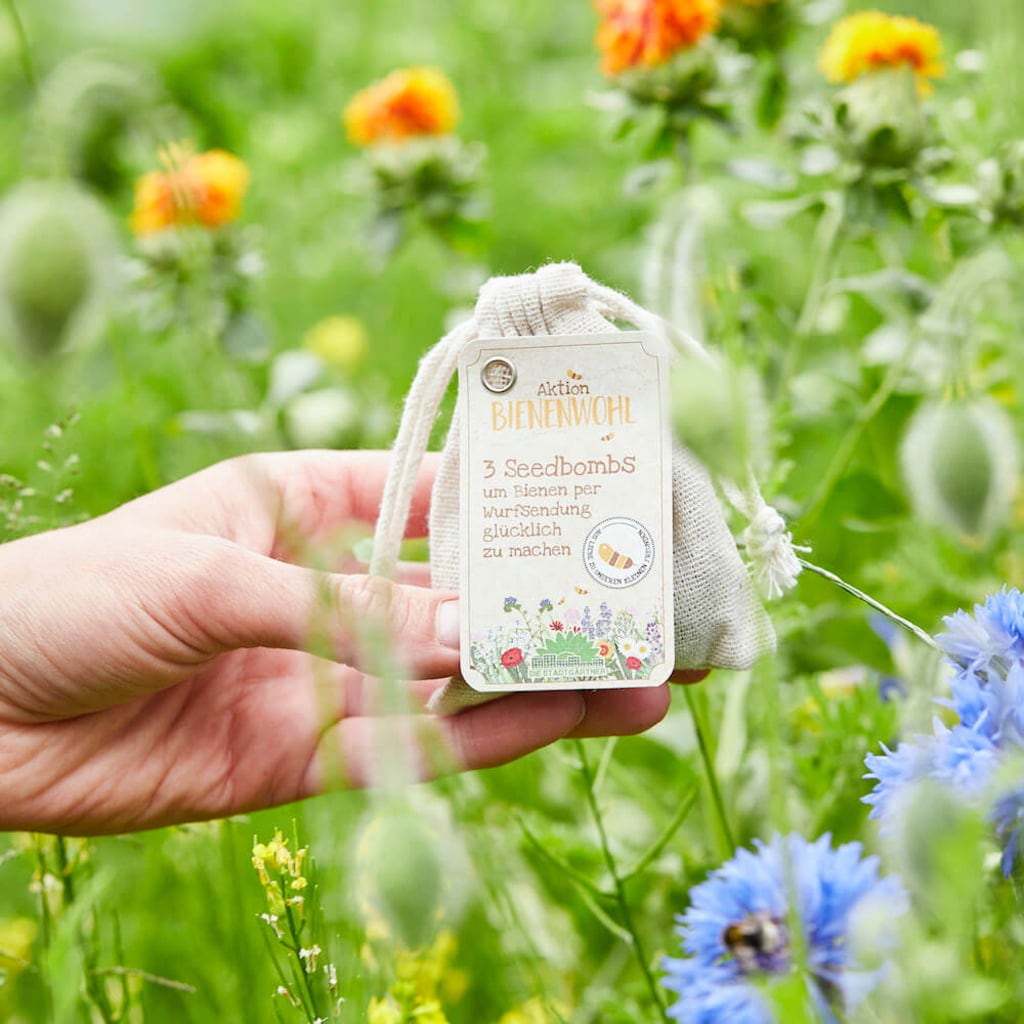 Die Stadtgärtner For the Bees - 3 Seed Bombs - 1 Pkg