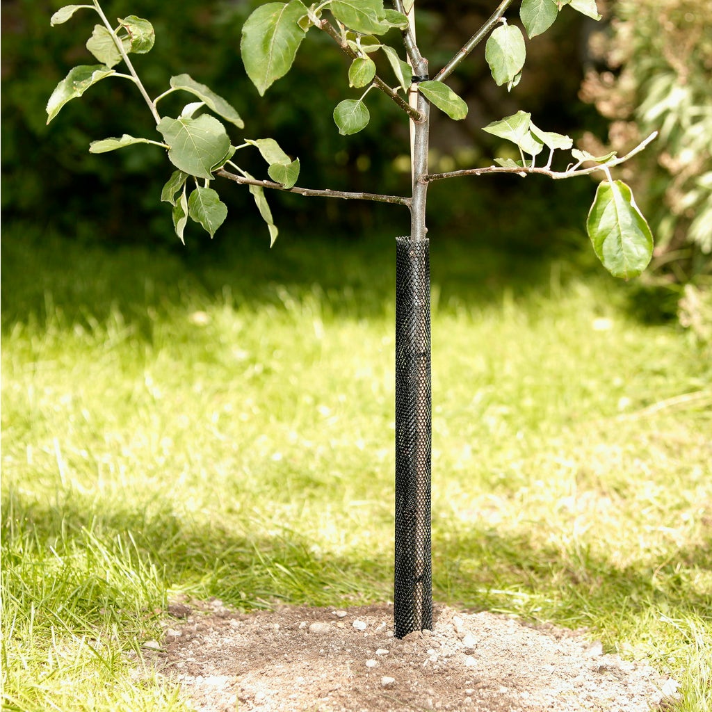 Windhager Protective Mesh for Trees, 2 items Bloomling International