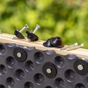 Mounting Nails for Bubble Wrap (For Raised Beds) - 1 Set