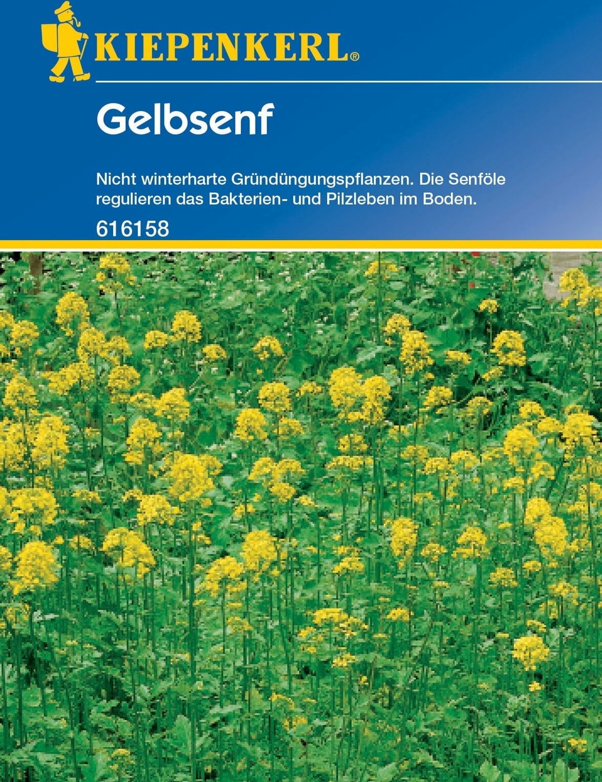 Kiepenkerl Gelbsenf