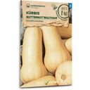 Samen Maier Biologische Pompoen “Butternut” - 1 Verpakking