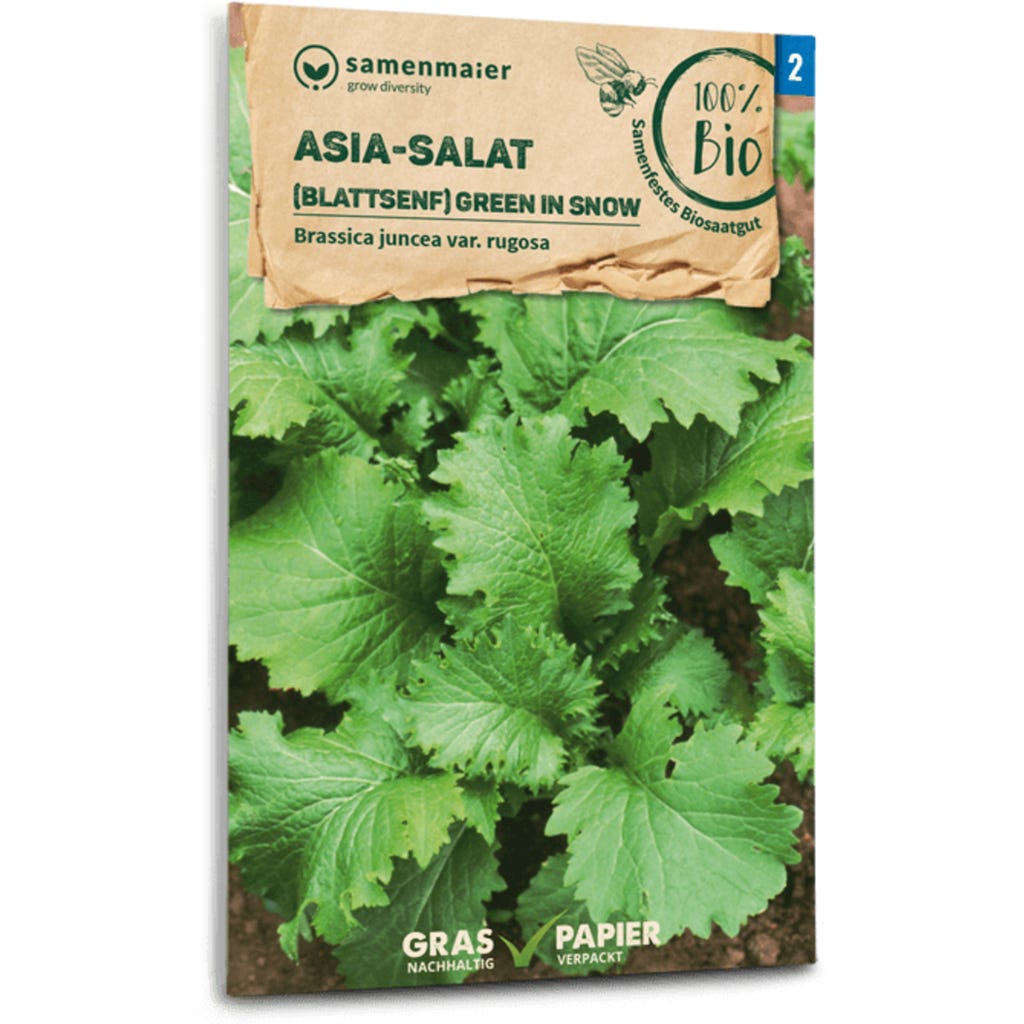Samen Maier Bio Asia-Salat "Green in Snow", 1 Packung - Bloomling  Deutschland