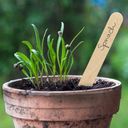 Own Grown Tablice za rastline 60 kos s pisalom