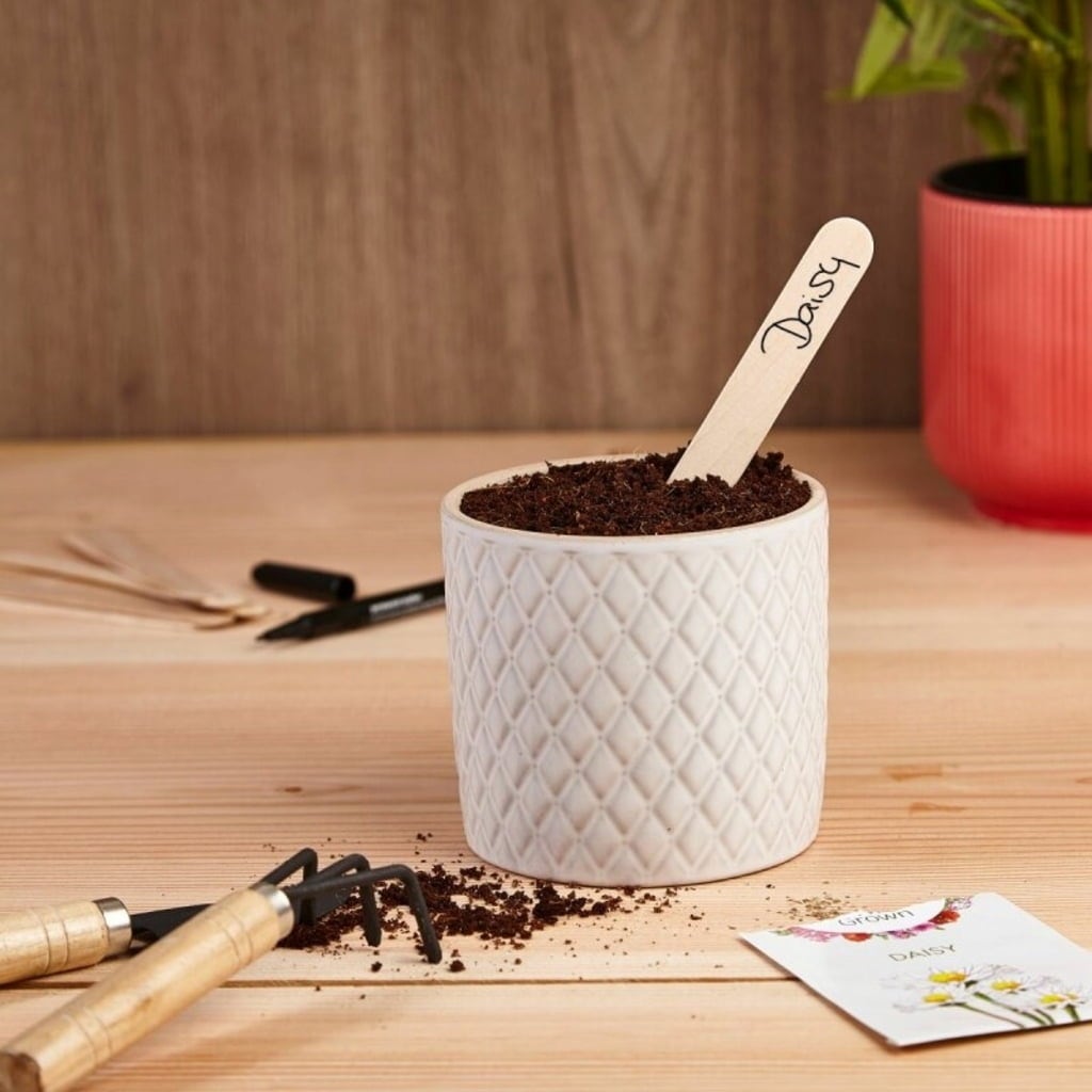 Own Grown Pflanzstecker 50er mit Stift