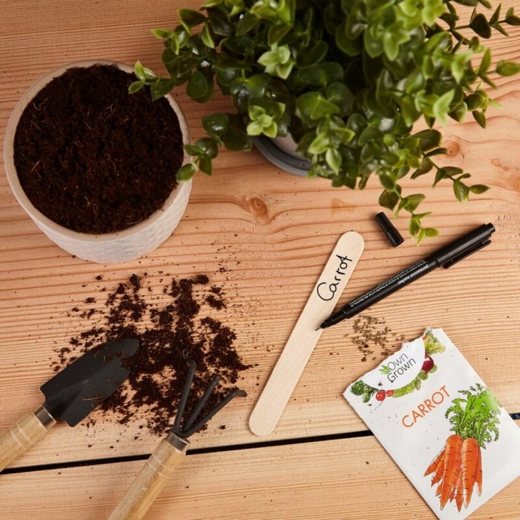 Own Grown Pflanzstecker 50er mit Stift