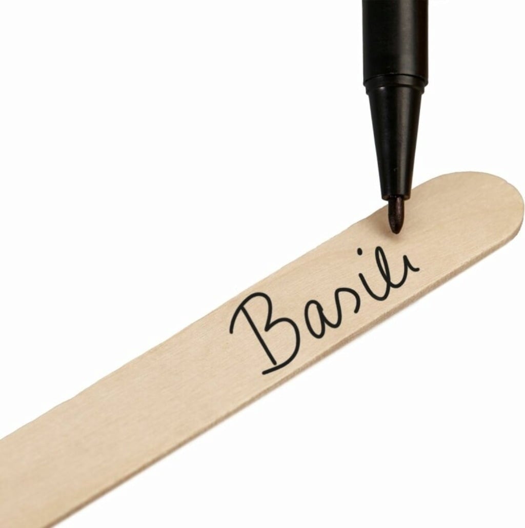 Own Grown Pflanzstecker 50er mit Stift