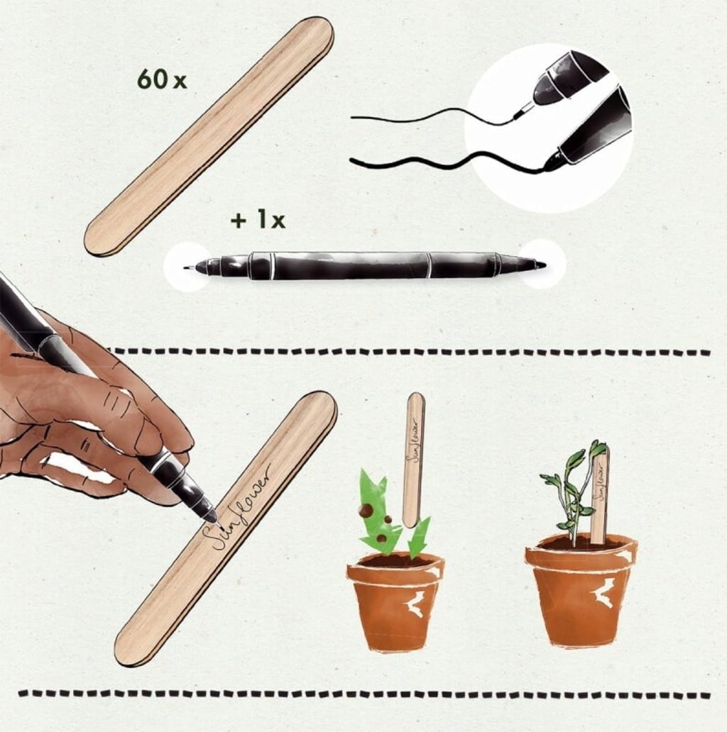 Own Grown Pflanzstecker 50er mit Stift