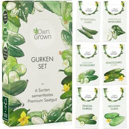 Own Grown Gurken-Samen 6er Set - 1 Set