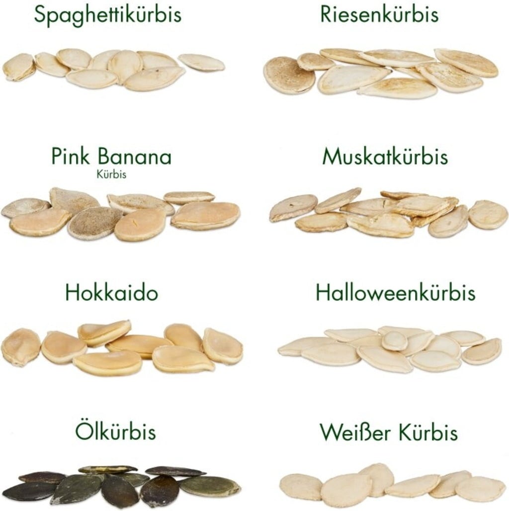 Own Grown Kürbis-Samen 8er Set