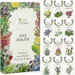 Own Grown Coffret de 12 Semences - Herbes Sauvages - 1 kit