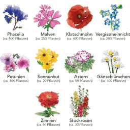 Coffret de 10 Semences - Parterre de Fleurs