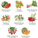 Own Grown Coffret de 8 Semences - Fruits du Jardin