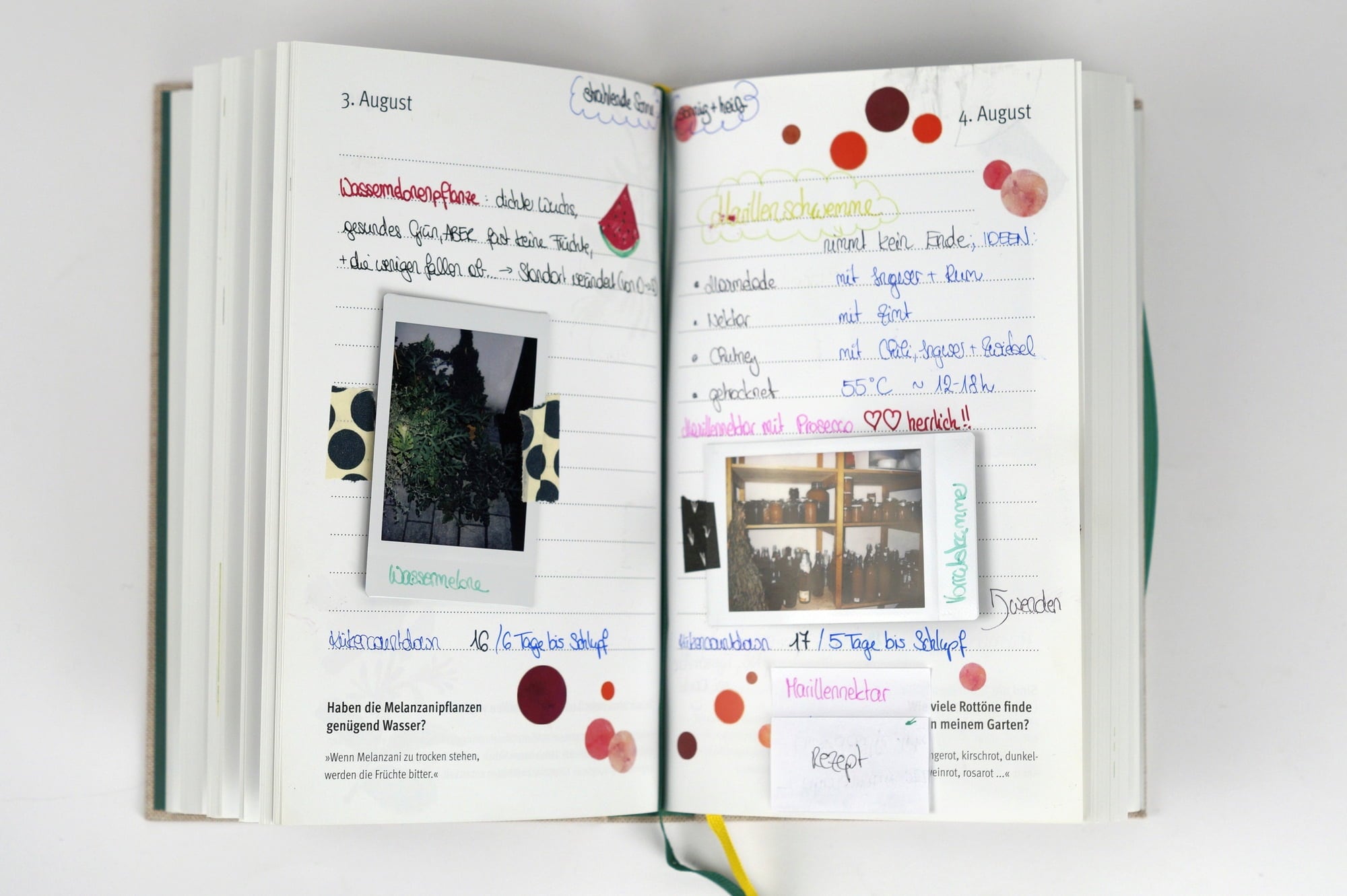 Löwenzahn Verlag Das Arche Noah Gartenjahr