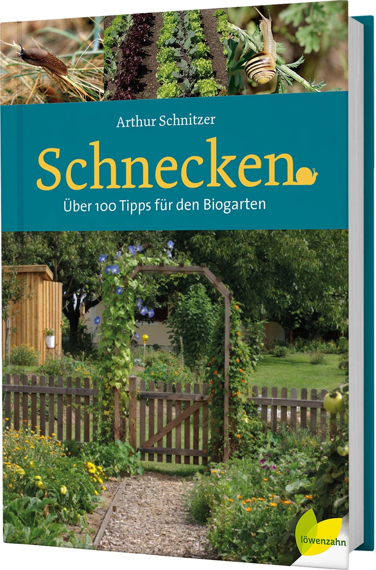 Löwenzahn Verlag Schnecken