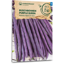 Samen Maier Biologische Stuikbonen “Purple Queen” - 1 Verpakking