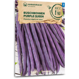 Samen Maier Bio grmičasti fižol "Purple Queen"