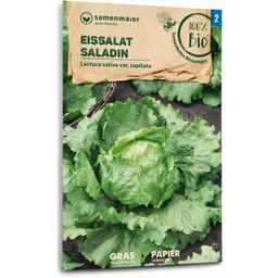 Samen Maier Biologische IJsbergsla “Saladin” - 1 Verpakking