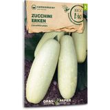 Samen Maier Organic Zucchini "Erken"