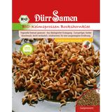 Dürr Samen Organic Fenugreek Sprouting Seeds