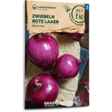 Samen Maier Organic "Rote Laaer" Onions