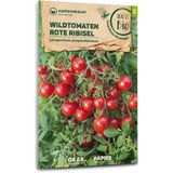 Samen Maier Bio dzikie pomidory "Rote Ribisel"