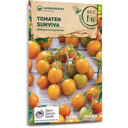 Samen Maier Organic "Sunviva" Tomatoes