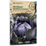 Samen Maier Organic Red/Blue Cabbage "Amaranth"