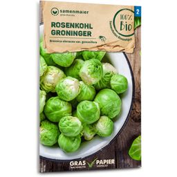 Samen Maier Organic "Groninger" Brussels Sprouts