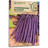 "Blauhilde" Organic Stringless Runner Beans